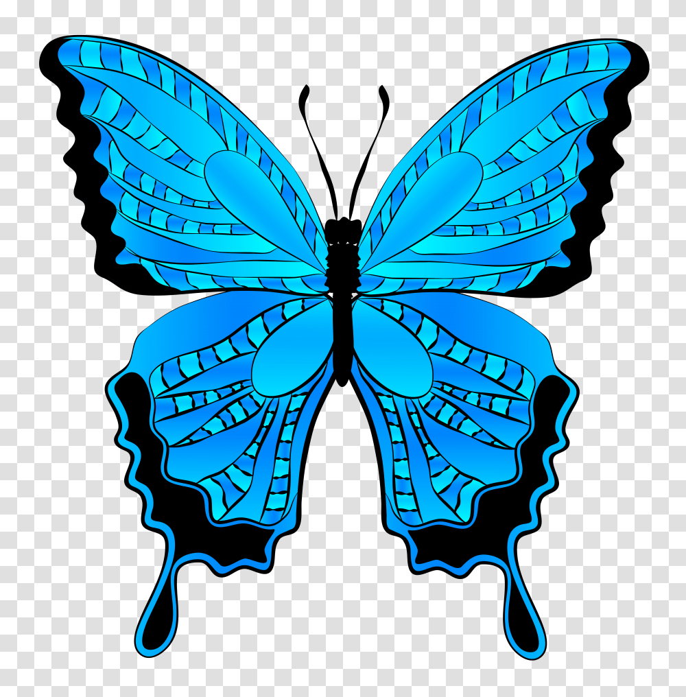 Blue Butterfly Clipart, Insect, Invertebrate, Animal, Dragonfly Transparent Png