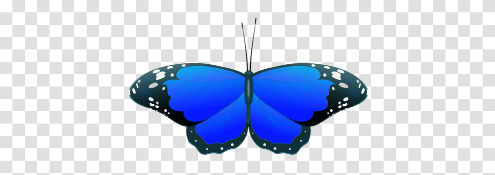 Blue Butterfly Clipart, Sunglasses, Accessories, Accessory, Insect Transparent Png