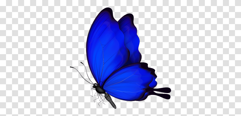 Blue Butterfly Download Blue Butterfly Vector, Animal, Insect, Invertebrate, Balloon Transparent Png
