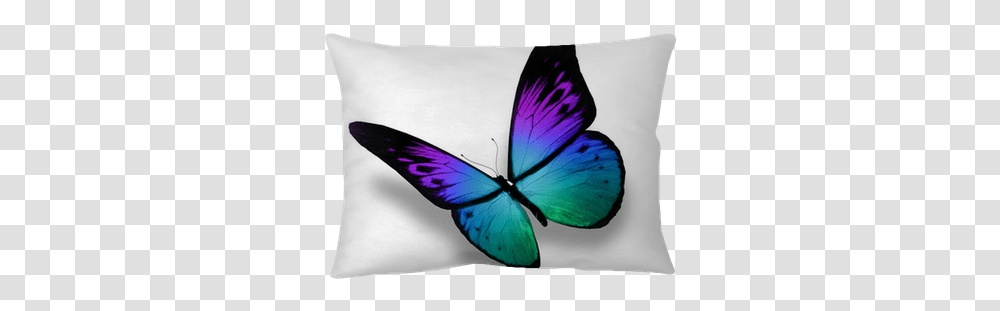 Blue Butterfly Flying Isolated We Live To Change Loving Memory Of Mother In Law, Insect, Invertebrate, Animal, Bird Transparent Png