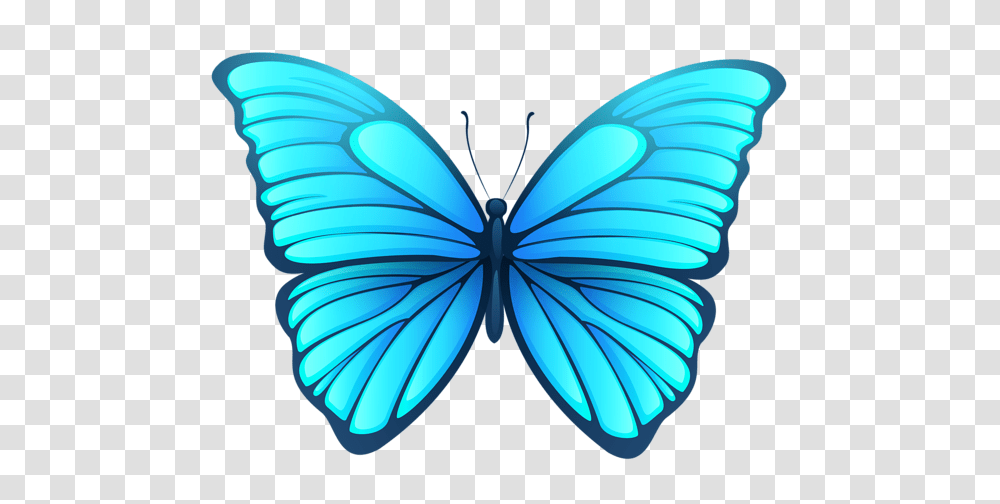 Blue Butterfly Images Arts, Ornament, Pattern, Fractal, Insect Transparent Png