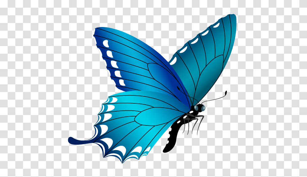 Blue Butterfly, Insect, Invertebrate, Animal, Pattern Transparent Png