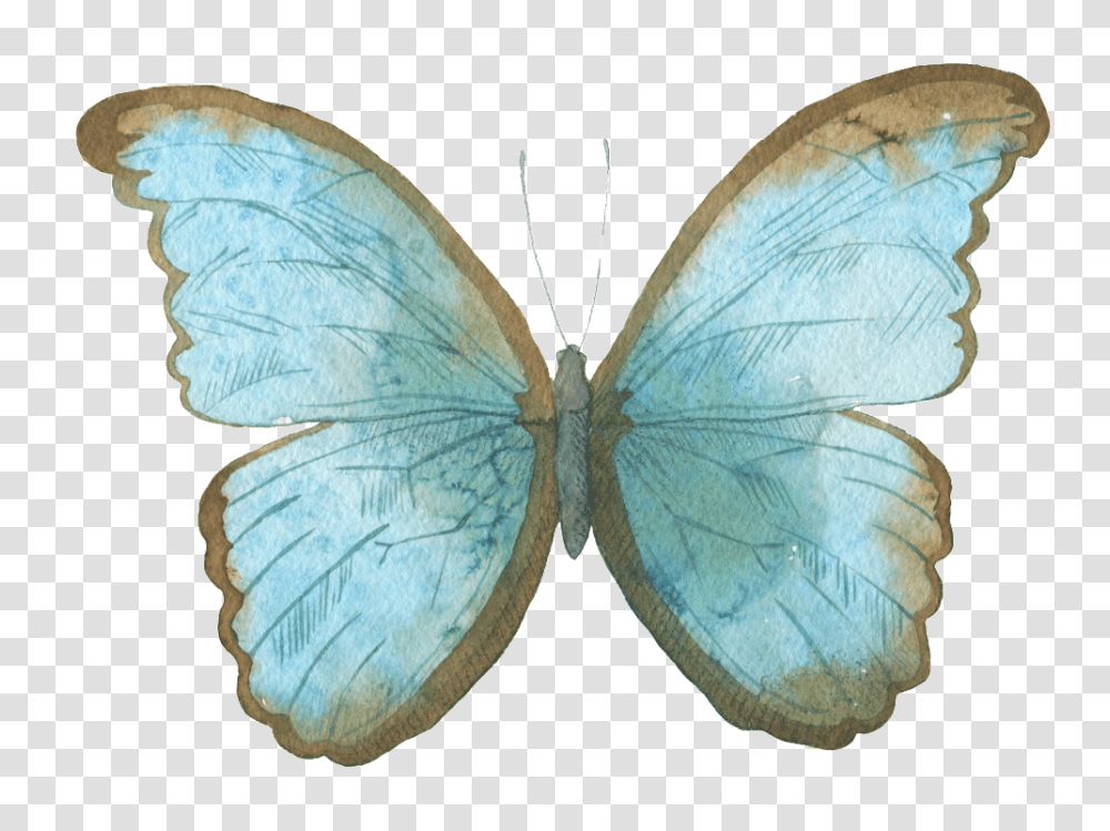 Blue Butterfly Watercolor Decorative Pattern Free Butterfly Watercolor, Insect, Invertebrate, Animal, Moth Transparent Png