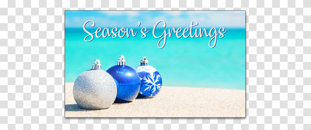 Blue Christmas Tree On The Beach, Sphere, Plant, Vacation, Home Decor Transparent Png