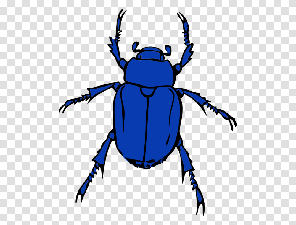 Blue Clipart Insect, Invertebrate, Animal, Dung Beetle, Bird Transparent Png
