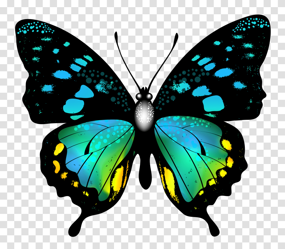 Blue Colorful Butterfly Clip Art Transparent Png