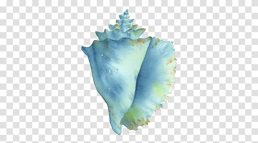 Blue Conch Shell, Gemstone, Jewelry, Accessories, Accessory Transparent Png