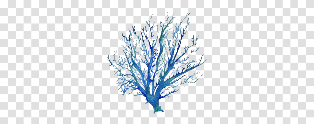 Blue Coral Tree, Sea, Outdoors, Water, Nature Transparent Png