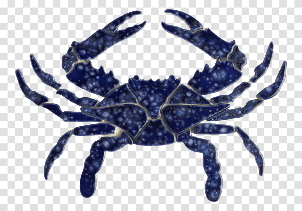 Blue Crab Copy Chesapeake Bay Blue Crab, Sea Life, Animal, Seafood, Dinosaur Transparent Png