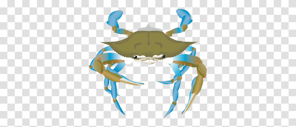 Blue Crab Drawing, Toy, Seafood, Sea Life, Animal Transparent Png