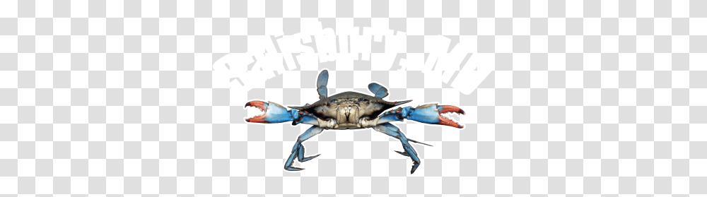 Blue Crab Image, Sea Life, Animal, Seafood, King Crab Transparent Png