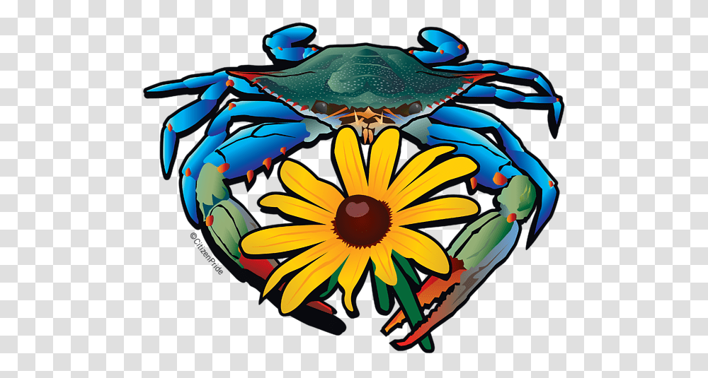 Blue Crab Maryland Black Eyed Susan T Shirt For Sale, Seafood, Sea Life, Animal, Plant Transparent Png