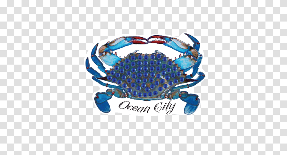 Blue Crab Ocean City Alpen Bling, Bracelet, Jewelry, Accessories, Ashtray Transparent Png