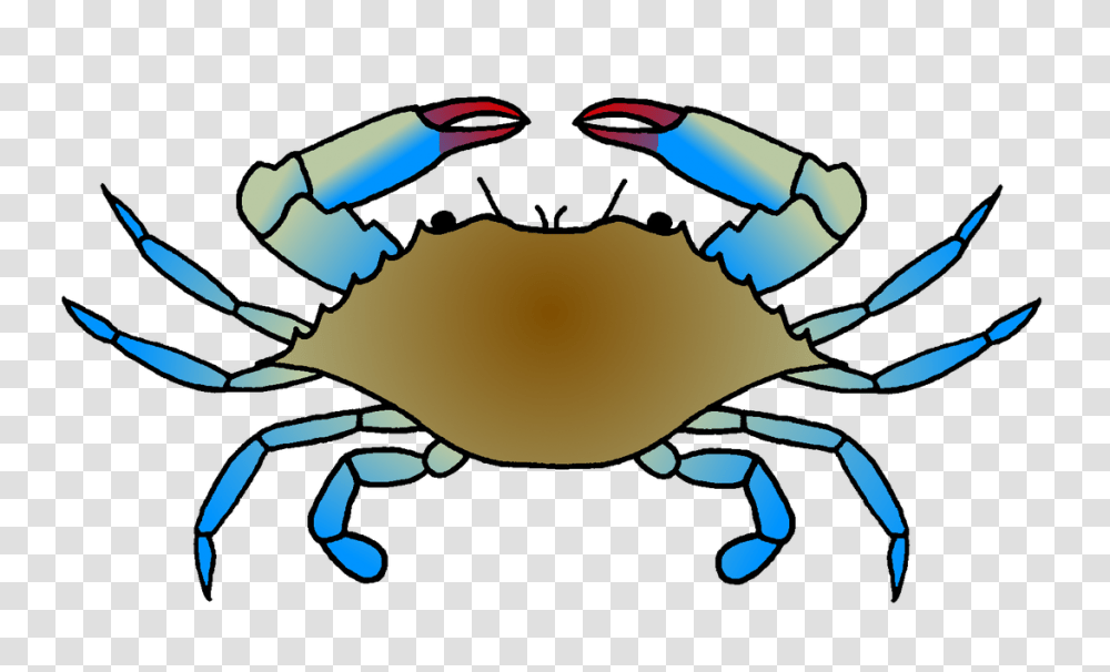 Blue Crab Range Expansion, Seafood, Sea Life, Animal, Blow Dryer Transparent Png