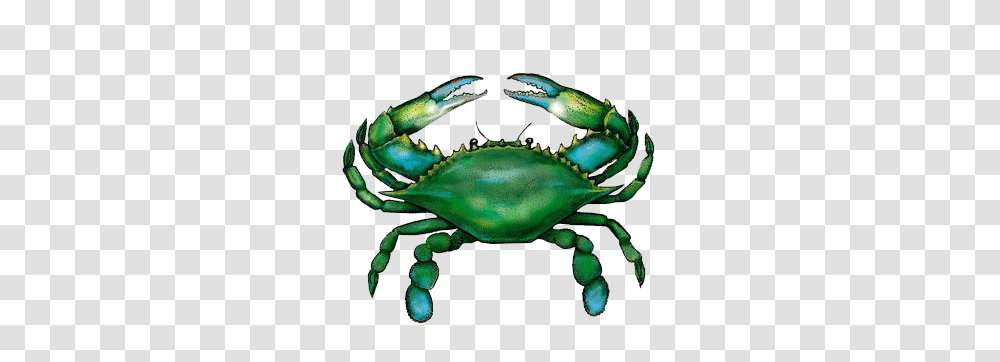 Blue Crab Seafood Products Buy Fresh From Florida Consumer, Sea Life, Animal, Toy, King Crab Transparent Png