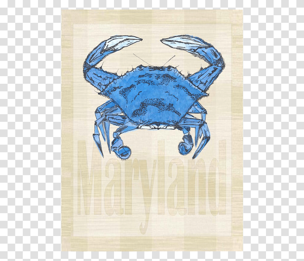 Blue Crab, Seafood, Sea Life, Animal, Bird Transparent Png