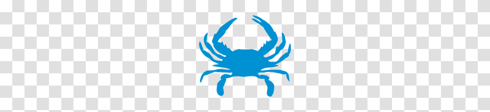 Blue Crab, Seafood, Sea Life, Animal, King Crab Transparent Png