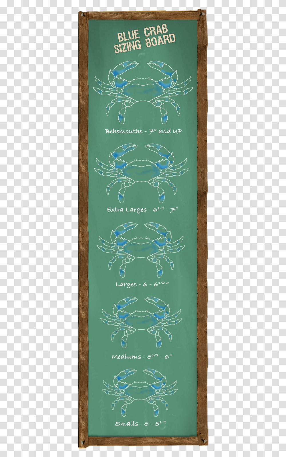 Blue Crab Sizing Board Crab Sizes Number, Book, Canvas, Greeting Card Transparent Png