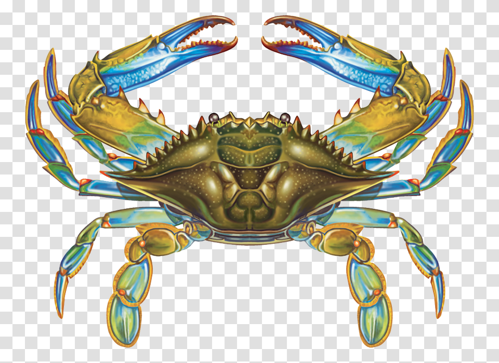 Blue Crab Vector, Seafood, Sea Life, Animal, King Crab Transparent Png