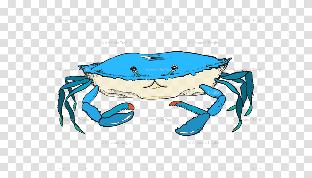 Blue Crab Wallpaper, Sea Life, Animal, Seafood, Fish Transparent Png