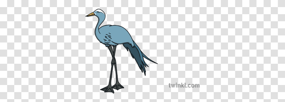 Blue Crane Bird South Africa Word Mat English Ks1 Long, Animal, Waterfowl, Stork Transparent Png