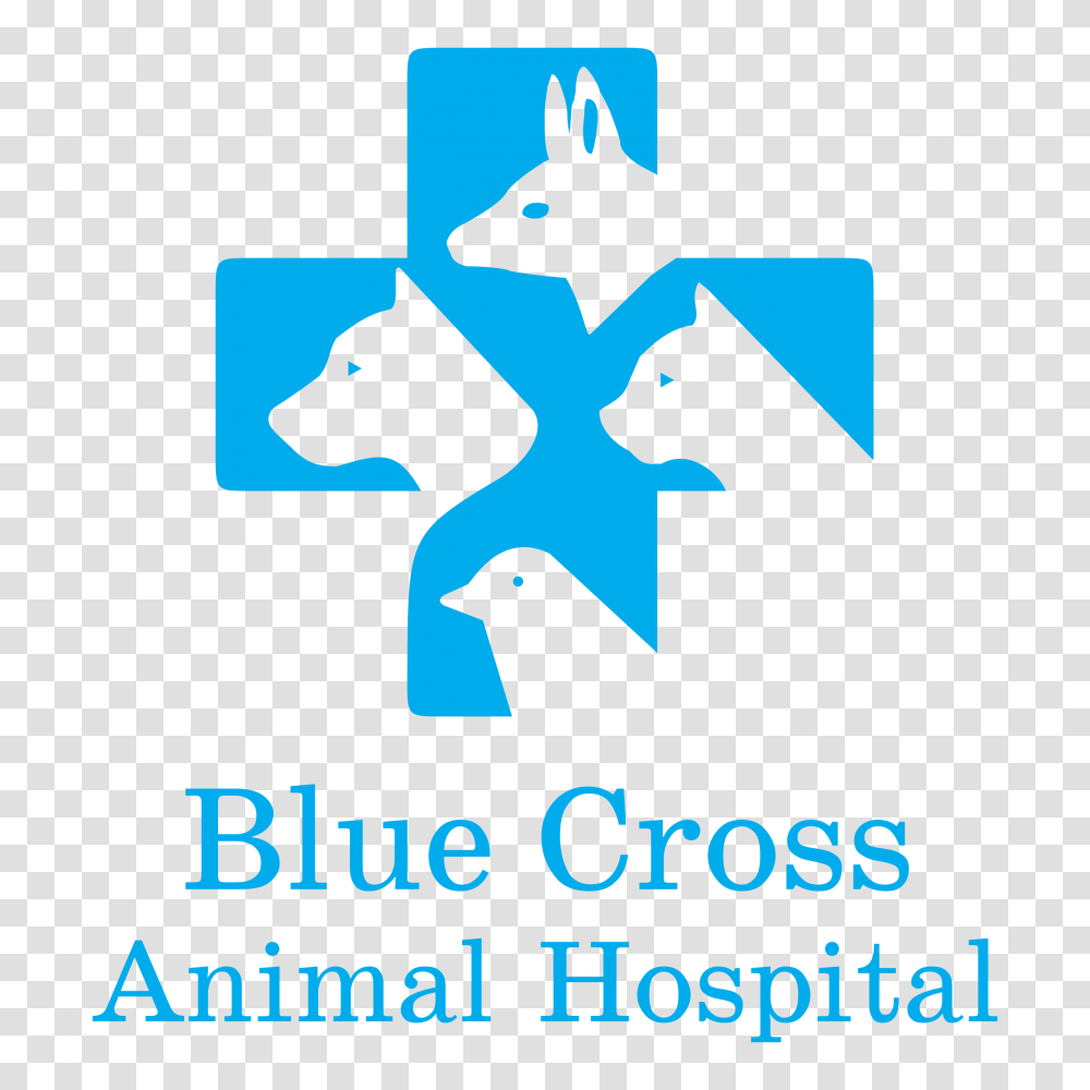 Blue Cross Animal Hospital Logo Vector, Bird, Recycling Symbol Transparent Png