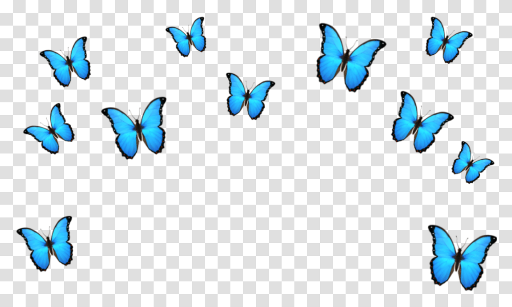 Blue Crown Clipart Blue Butterfly Emoji Background, Insect, Invertebrate, Animal, Flying Transparent Png