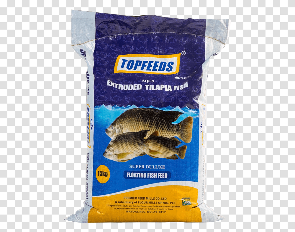 Blue Crown Fish Feed, Animal, Perch Transparent Png