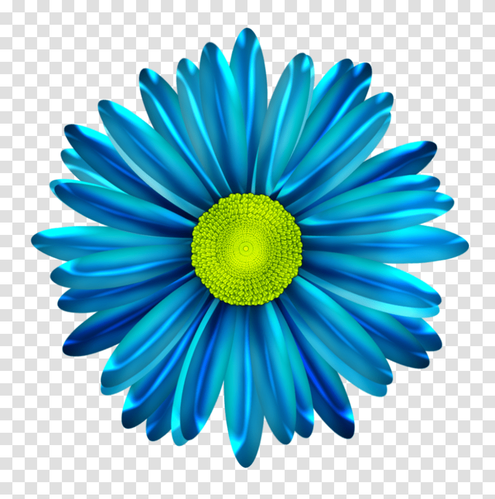 Blue Daisy Flower Blue Daisy Flower, Plant, Aster, Anther, Text Transparent Png