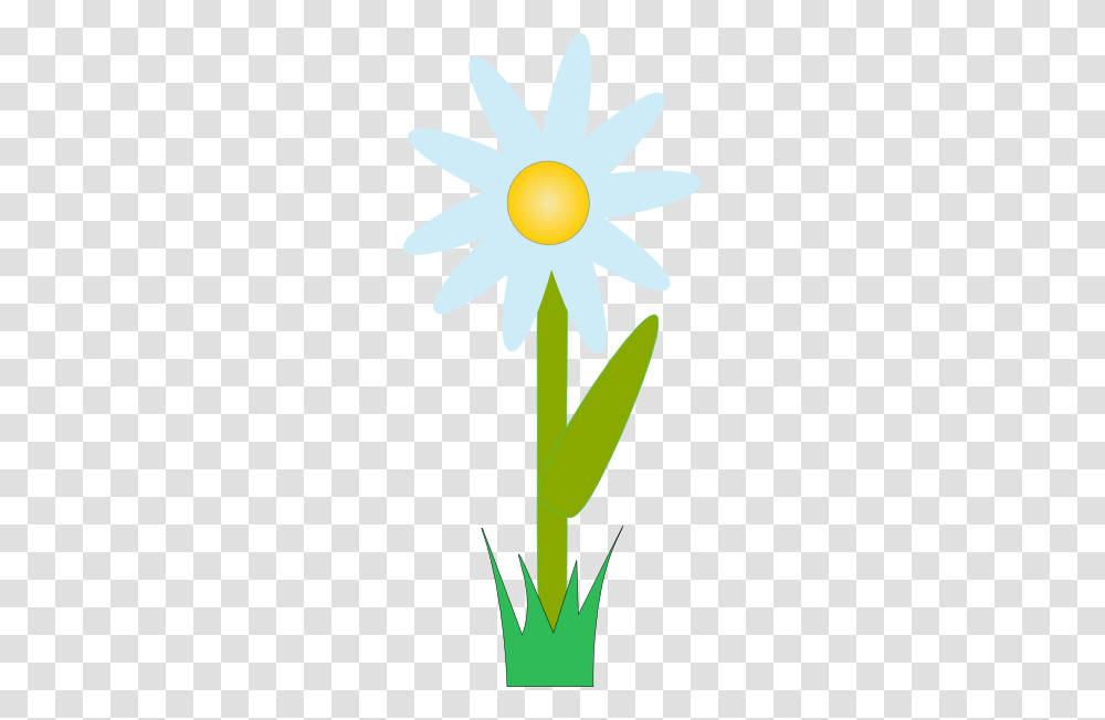 Blue Daisy With Grass Clip Arts Download, Plant, Flower, Blossom Transparent Png