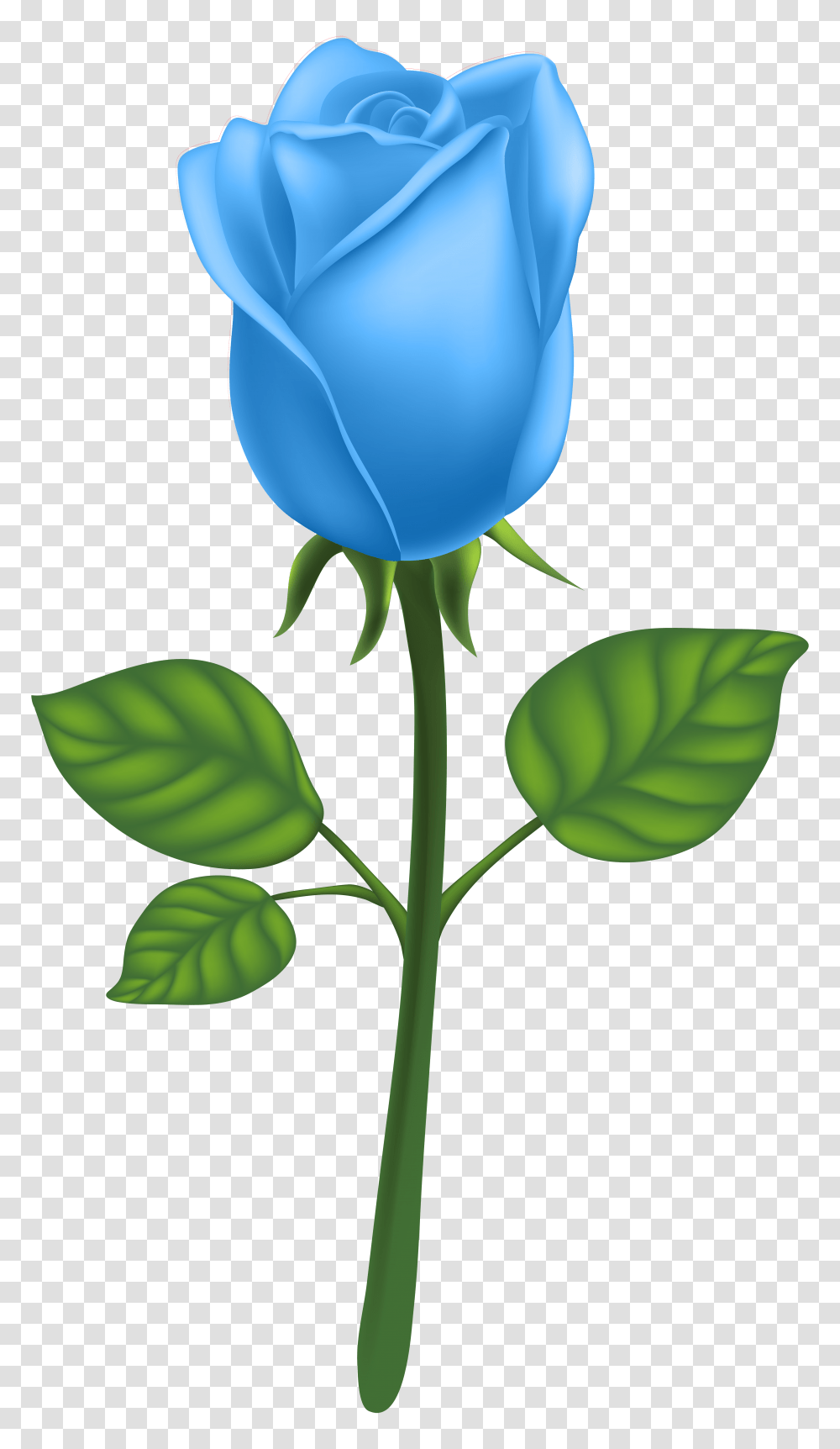 Blue Deco Rose Clip Art, Flower, Plant, Blossom, Petal Transparent Png