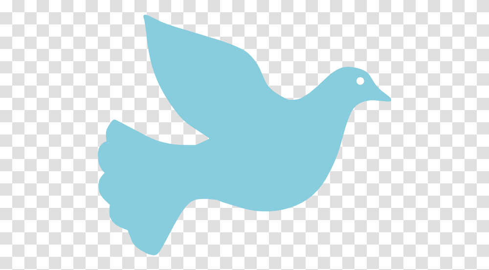 Blue Dove Clip Art, Bird, Animal, Pigeon, Shark Transparent Png