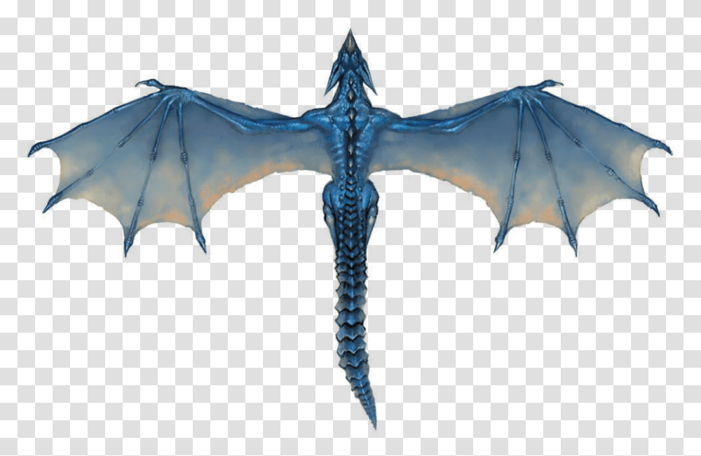 Blue Dragon 6 Image Blue Dragon Top View, Cross, Symbol Transparent Png