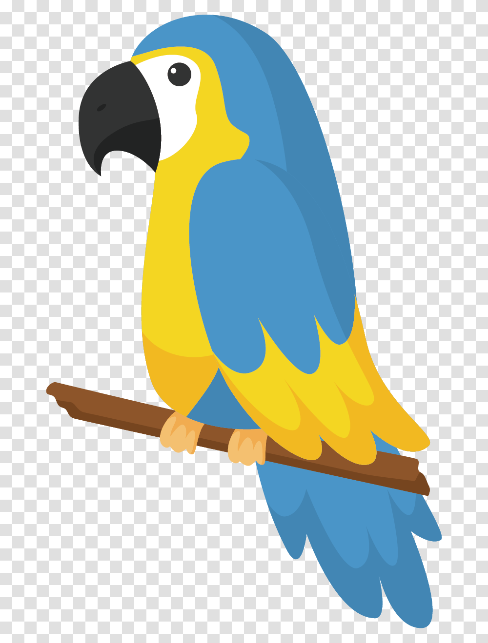 Blue Drawing Free Bird Parrot Drawing, Animal, Canary, Parakeet, Jay Transparent Png