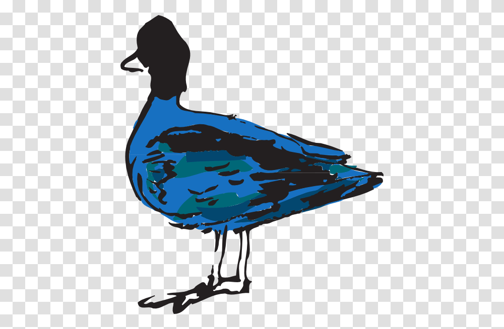 Blue Duck Clip Art For Web, Bird, Animal, Seagull, Goose Transparent Png