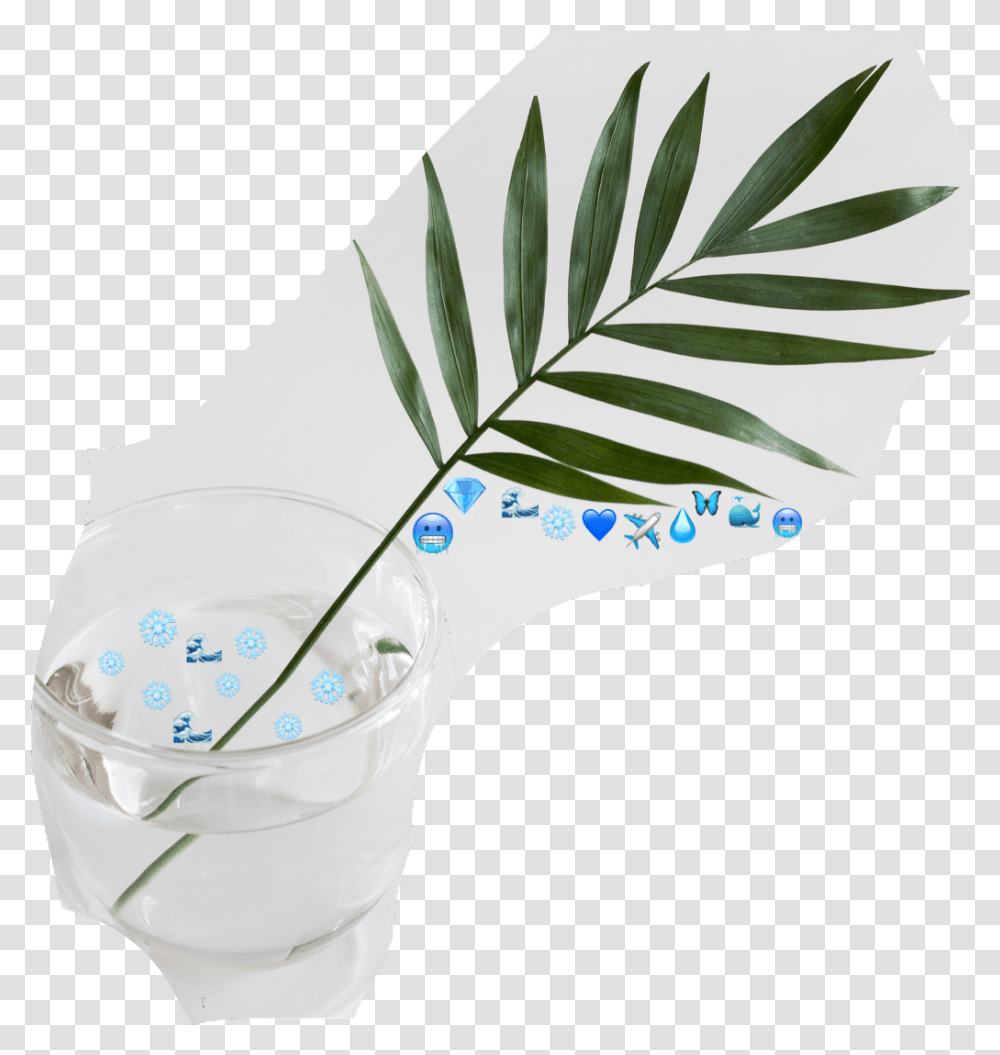 Blue Emoji Challenge Water Nature Plants Stayhydrated Green Palm Leaf, Tree, Rainforest, Stain, Pottery Transparent Png