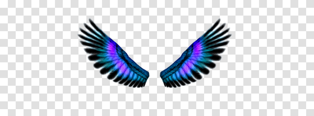 Blue Fairy Wings, Fantasy, Ornament, Pattern, Fractal Transparent Png