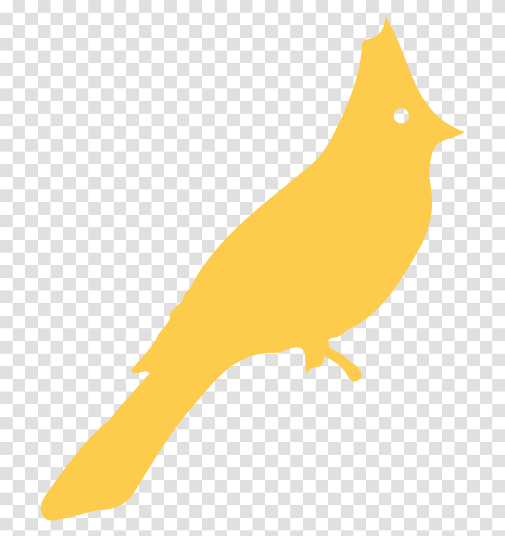 Blue Feather, Animal, Canary, Bird, Axe Transparent Png