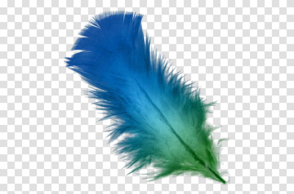 Blue Feather Clipart Feathers, Clothing, Feather Boa, Scarf, Leaf Transparent Png