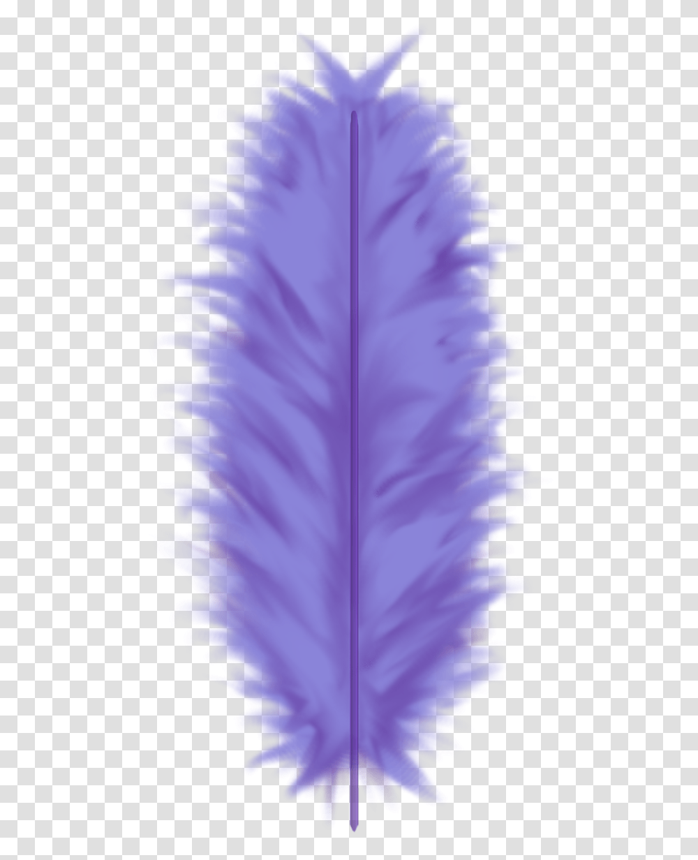 Blue Feather Feather, Purple, Pattern, Plant, Ornament Transparent Png