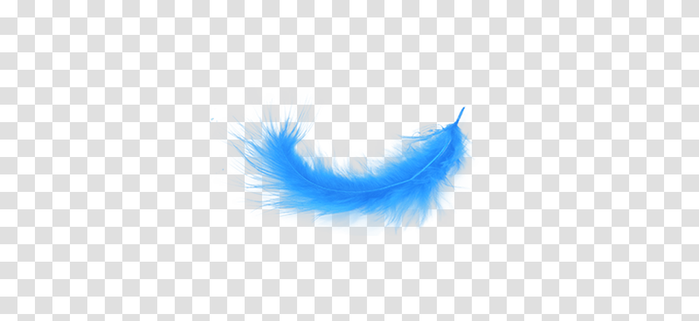 Blue Feather, Nature, Outdoors Transparent Png
