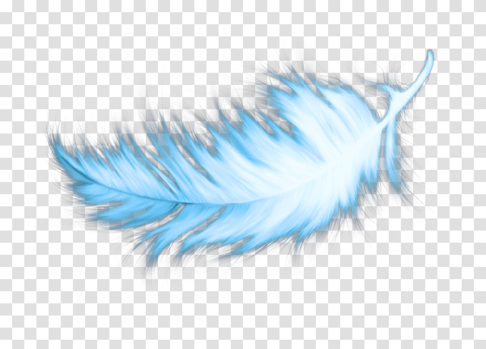 Blue Feather Teal Blue Feathers, Bird, Leaf, Plant Transparent Png