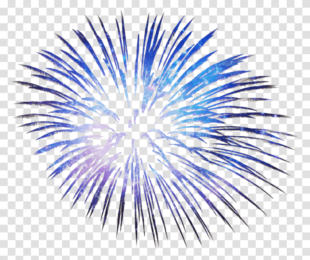 Blue Fireworks, Nature, Outdoors, Night, Bird Transparent Png