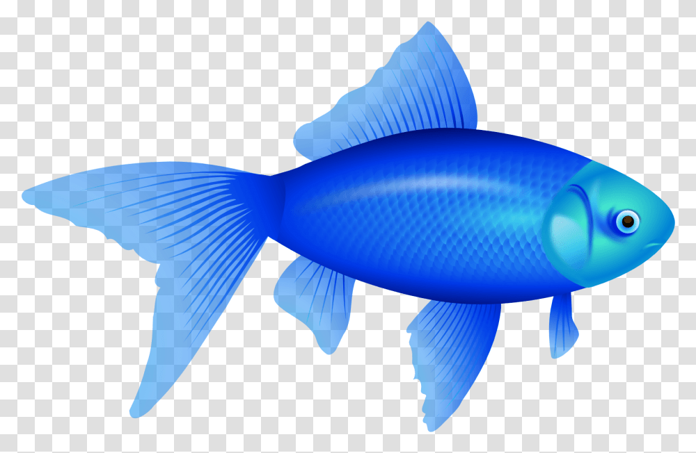 Blue Fish Background, Water, Animal, Aquatic, Outdoors Transparent Png