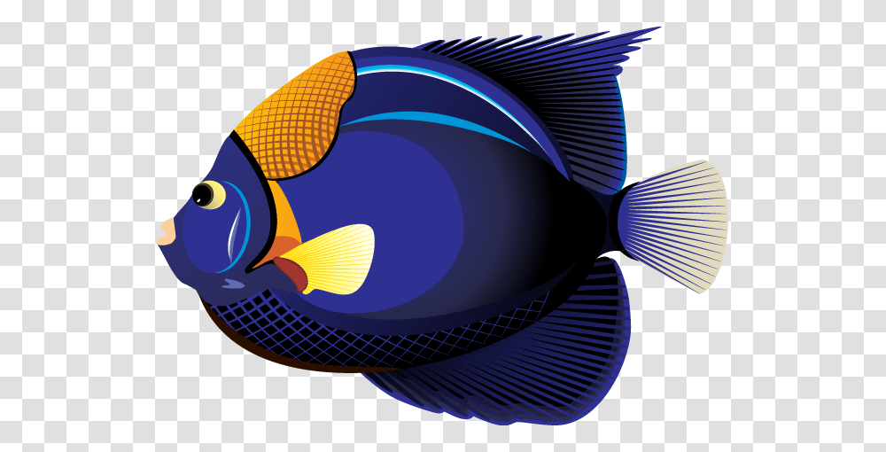 Blue Fish Clipart, Animal, Surgeonfish, Sea Life, Angelfish Transparent Png