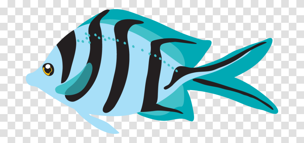 Blue Fish Clipart, Bird, Animal, Sea Life Transparent Png