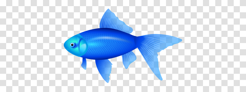 Blue Fish Clipart Image Fish Clipart Images, Animal, Water, Aquatic, Sea Life Transparent Png