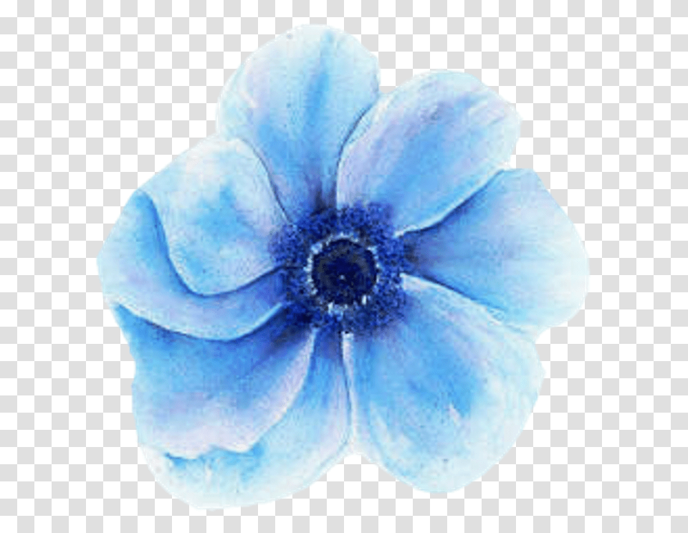 Blue Flower Blue Watercolor Flowers Svg, Anemone, Plant, Blossom, Jewelry Transparent Png