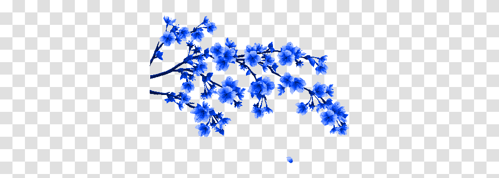 Blue Flower Branche Gif Bleu Fleur Chinese Flower Drawing, Geranium, Plant, Blossom, Anther Transparent Png