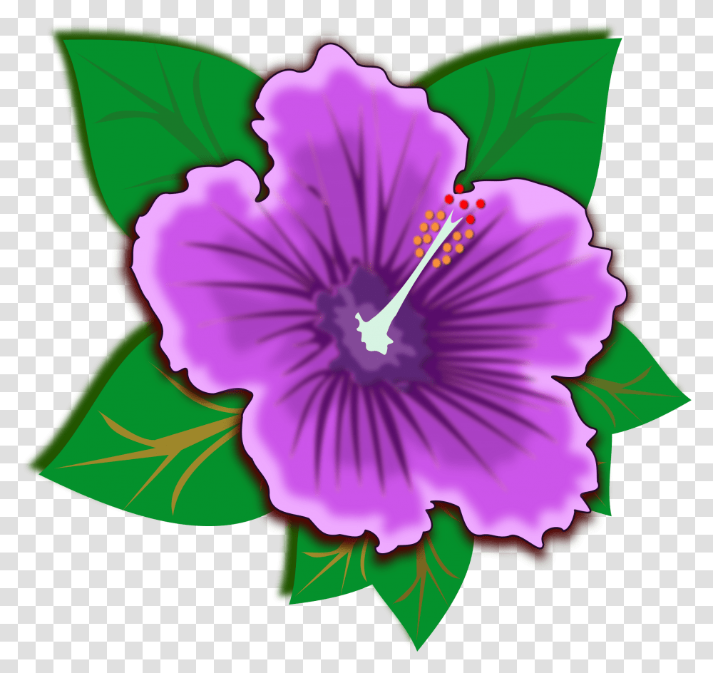 Blue Flower Clipart Rainforest Flower, Plant, Hibiscus, Blossom, Geranium Transparent Png